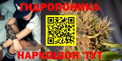 прущие грибы Краснодар