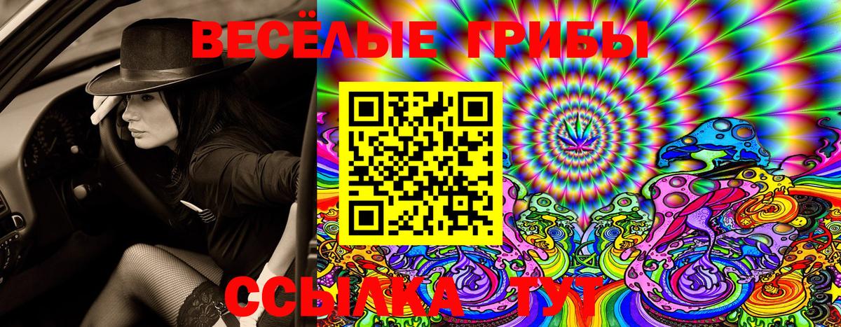 Кимовск  Галлюциногенные грибы Magic Shrooms  Вход с VPN 